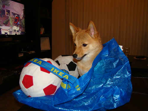 soccer ball picture