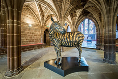 Chester Cathedral ARK exhibition 2017