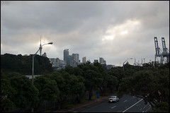 View on Auckland from Tamaki Drive