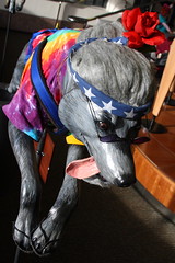 Alaska - Fur Rondy dog exhibit at the Egan Center