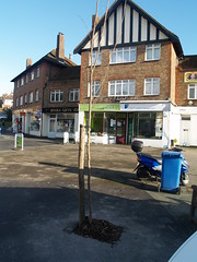 The new Patcham Elms, 12 February 2011