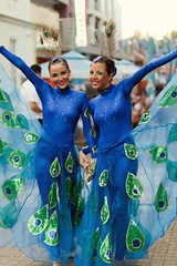 Vrnjacki karneval 2010