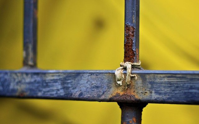Fence And Yellow