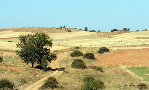 Campos de Castilla la Vieja