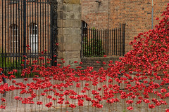 The Weeping Window