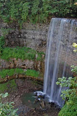 Spencer Gorge/Webster's Falls Conservation Area