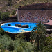 Delfinario de Palmitos Park.Gran Canaria