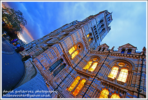 London Natural History Museum - Travel and History