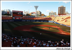世界大學棒球賽 日本V.S中華