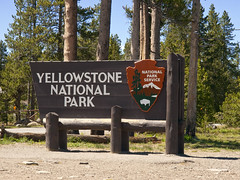 Yellowstone National Park, June 2010