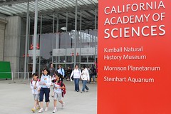 California Academy of Sciences 7-17-2010