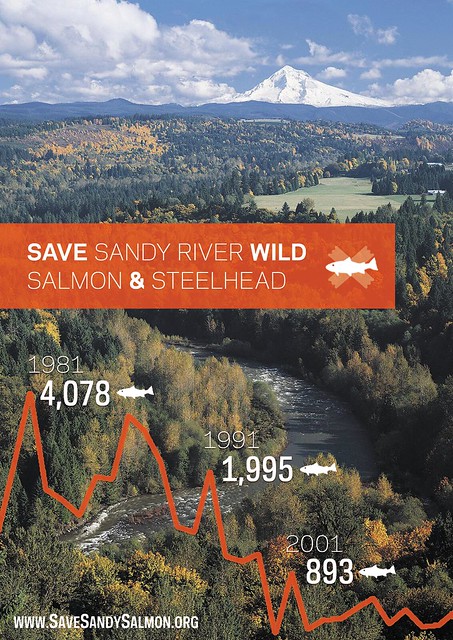 Save Sandy Salmon Postcard - Front