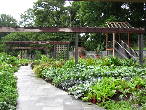 A Short History of Herb Garden Design - Brooklyn Botanic Garden