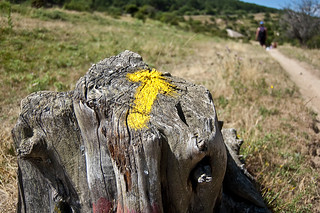 Camino de Santiago: Manzanares el Real - Cercedilla