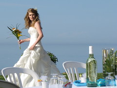 Wedding on the Fundy Shore