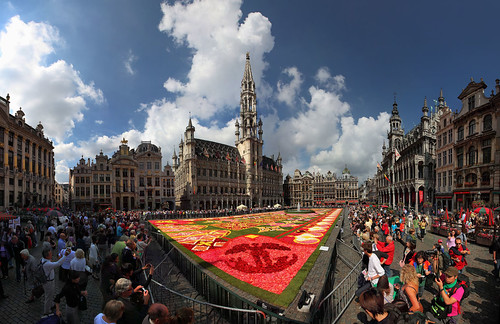 Biggest carpet flower in the world, Brussels, Belgium