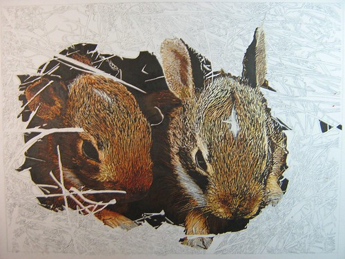 pair of rabbits 2
