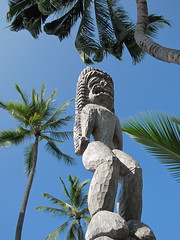 Robinsons in Hawaii 