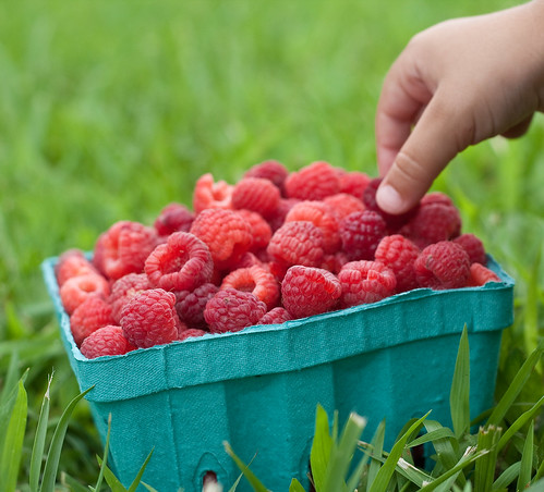 Spencer Farm raspberries