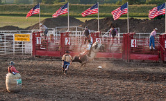 Lake County Fair Rodeo