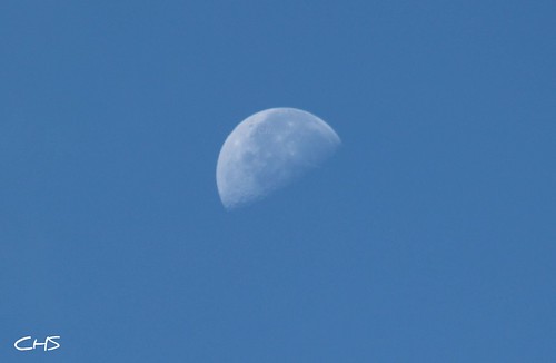 Daytime moon by Claire Stocker (Stocker Images)