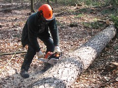 Waldarbeiten  zur Erhaltung des Erholungswald 