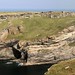 Tintagel Castle and Island, North Cornwall