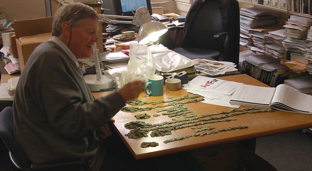Roger Bland sorts coins from the Frome Hoard