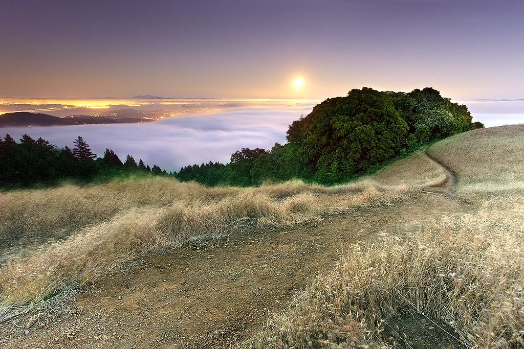 Tamalpais in Moonlight - Marin County, California