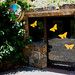 La Casa de las Mariposas.Palmitos Park.Gran Canaria