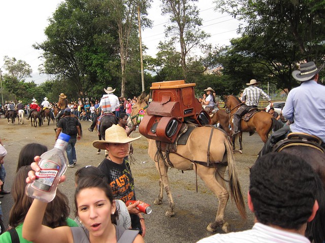 A burroteca is a donkey with custom speakers strapped to it.  This one was blasting vallenato music in the parade.