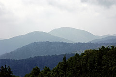 Great Smoky Mountains, August 2010