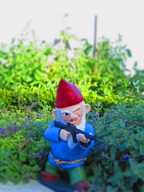 combat garden gnomes 019