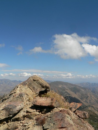 Hines Peak, View East