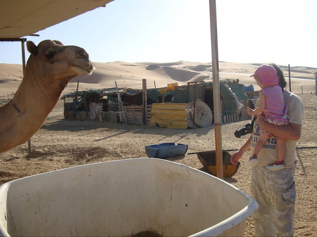Desert Antics - saying hello to a "real camel"