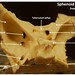 Sphenoid bone, superior view with labels - Axial Skeleton Visual Atlas, page 31