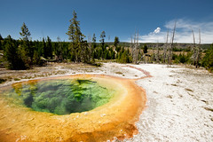 Yellowstone national park