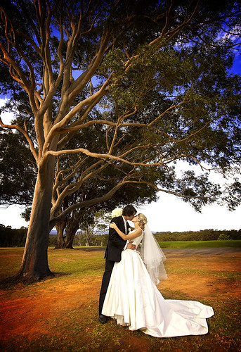 Bride and groom kissing under a tree.