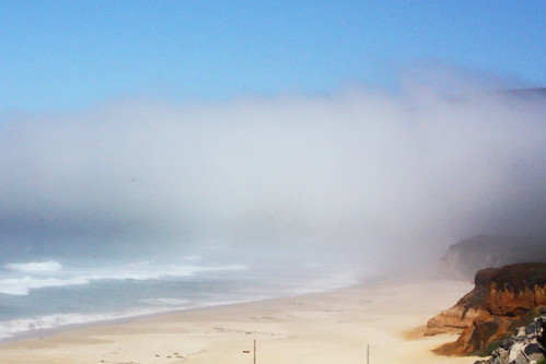 Fog on Pacific Coast Highway