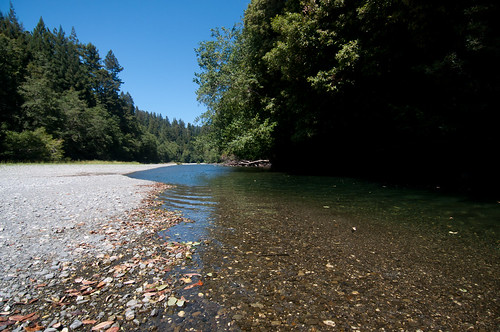 Redwood Creek, Redwood National Park, California