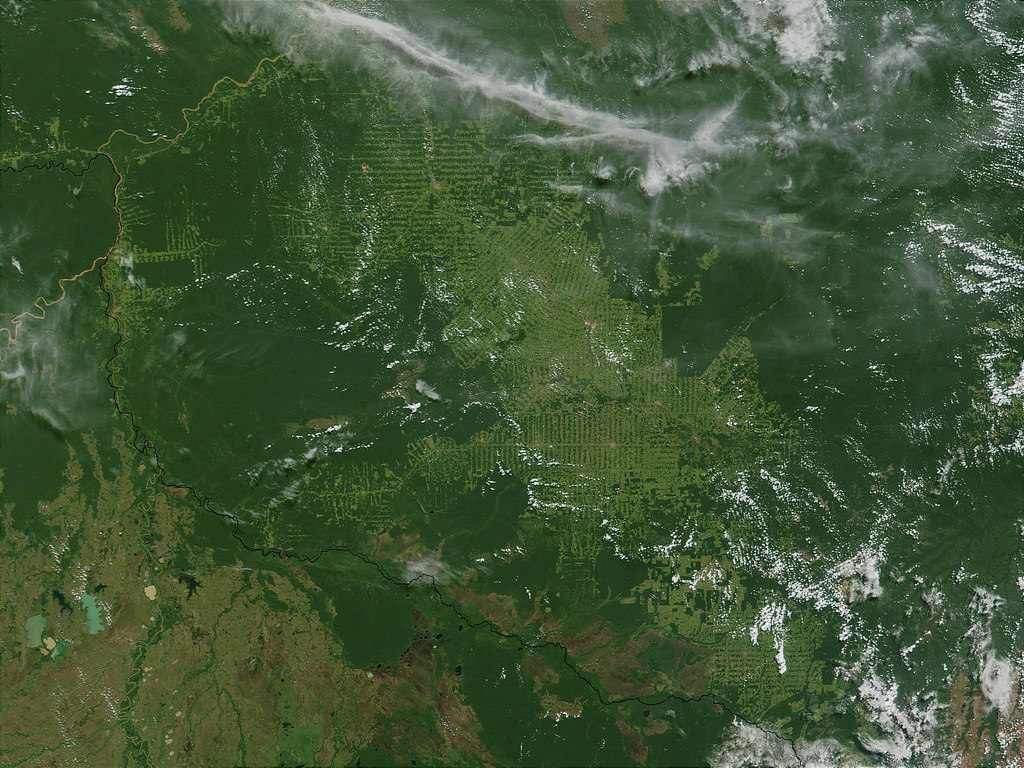 вырубка лесов в Амазонии