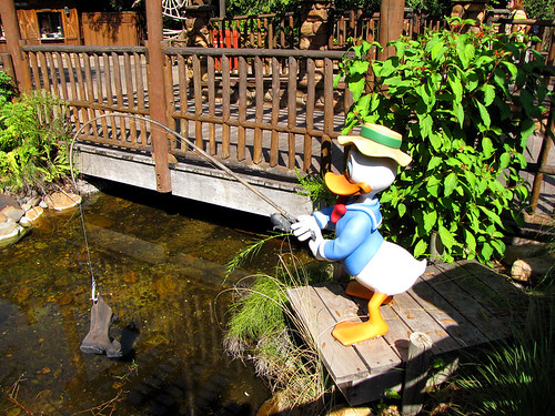 Donald Duck Fishing