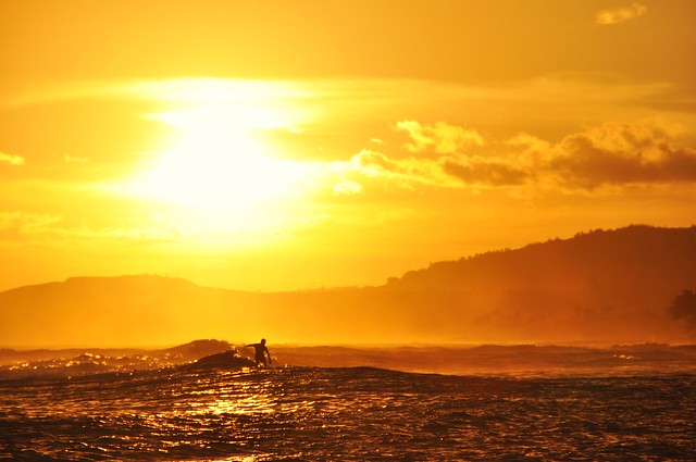surfing in the sunset
