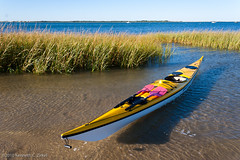 2010 Cape Cod Sandy Neck Paddle