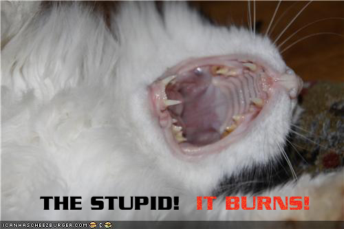 The Stupid - It Burns