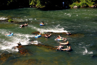 Eugene Oregon Willamette River Summer