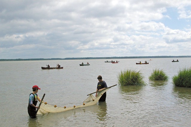 Seining net activities will be happening during Estuaries Day.