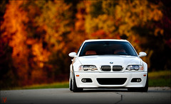 The M3