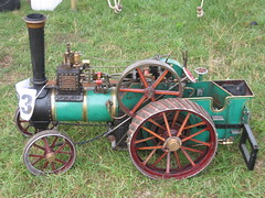 the great dorset steam rally  2010