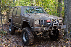Jeeps in the Woods 2